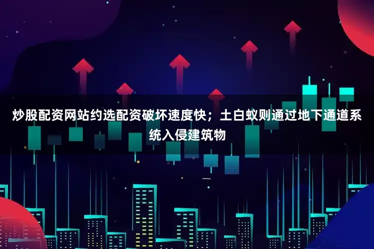 炒股配资网站约选配资破坏速度快；土白蚁则通过地下通道系统入侵建筑物