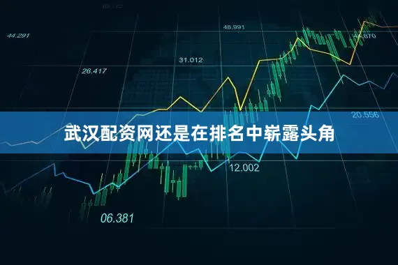 武汉配资网还是在排名中崭露头角