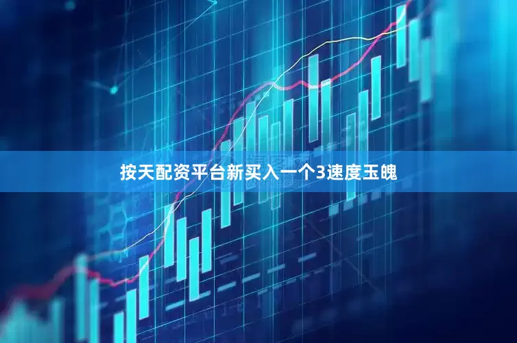 按天配资平台新买入一个3速度玉魄