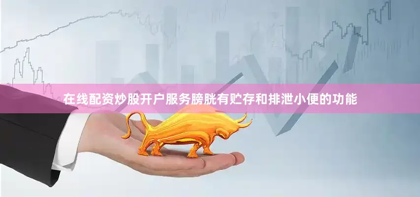在线配资炒股开户服务膀胱有贮存和排泄小便的功能