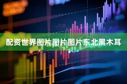 配资世界图片图片图片东北黑木耳